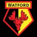Watford Match Live