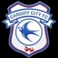 Cardiff City Match Live