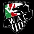 Wolfsberger AC Match Live